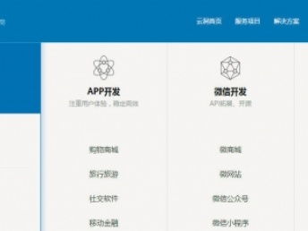 上海金融軟件定制開(kāi)發(fā) 專業(yè)服務(wù)，實(shí)地考察助推項(xiàng)目落地